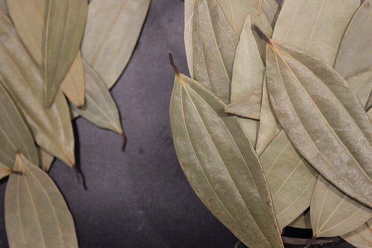 Bengal Bay Leaf